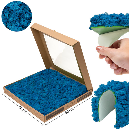 Licheni stabilizati gata lipiti panou 50x50x5.5 cm albastru clasic mediu RR59