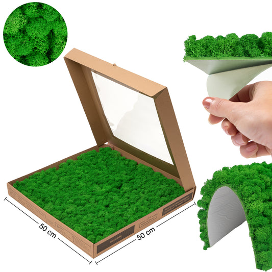 Licheni stabilizati gata lipiti panou 50x50x5.5 cm verde intens mediu RR56