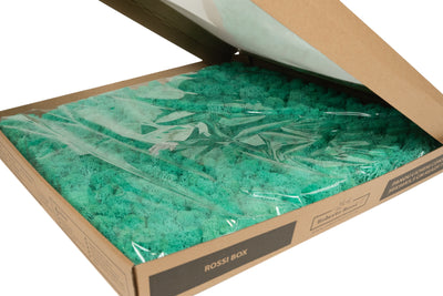 Licheni stabilizati gata lipiti panou 50x50x5.5 cm verde pacific RR62