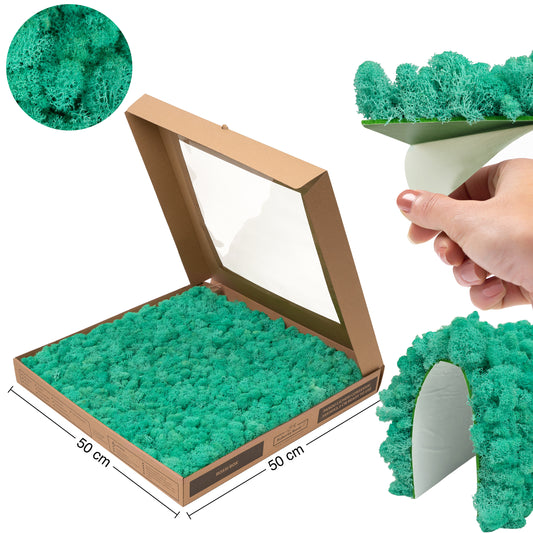 Licheni stabilizati gata lipiti panou 50x50x5.5 cm verde pacific RR62