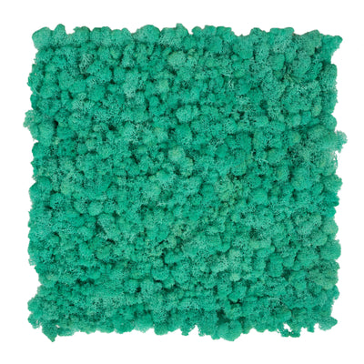 Licheni stabilizati gata lipiti panou 50x50x5.5 cm verde pacific RR62