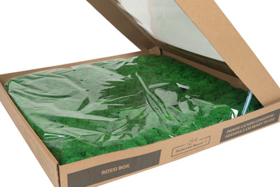 Licheni stabilizati gata lipiti panou 50x50x5.5 cm verde smarald deschis RR54