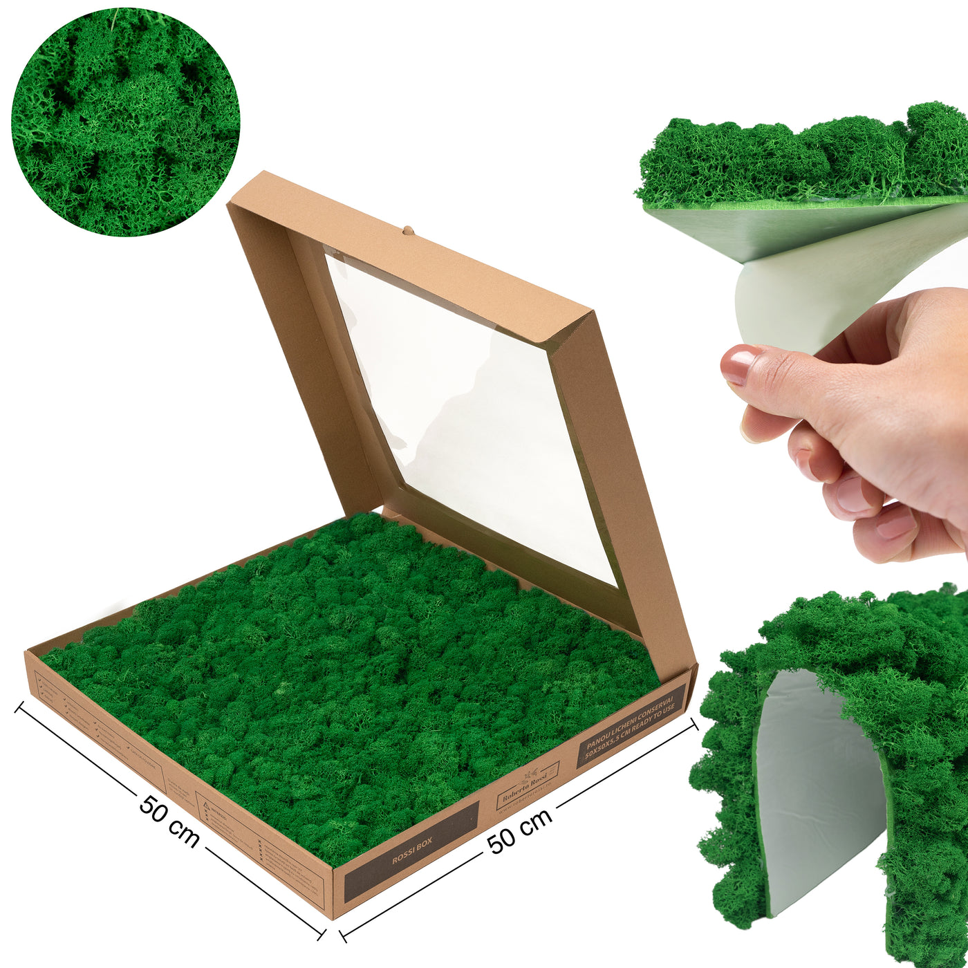 Licheni stabilizati gata lipiti panou 50x50x5.5 cm verde smarald deschis RR54