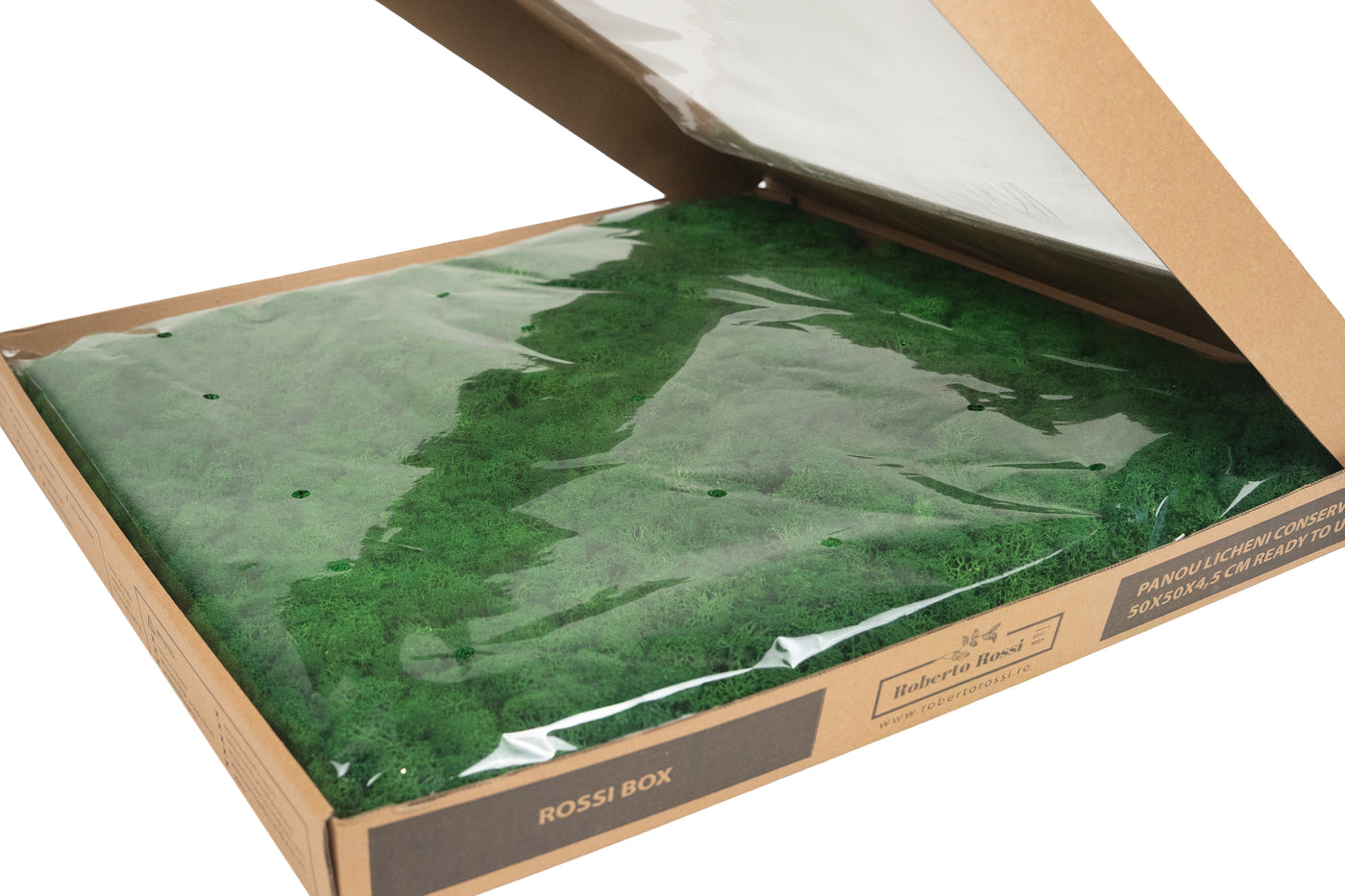 Licheni stabilizati gata lipiti panou 50x50x5.5 cm verde smarald inchis RR53
