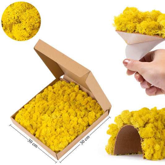 Licheni stabilizati panou 30x30 cm auriu. gata lipiti RR9L