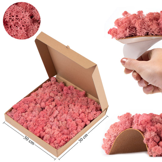 Licheni stabilizati panou 30x30 cm fucsia. gata lipiti RR27