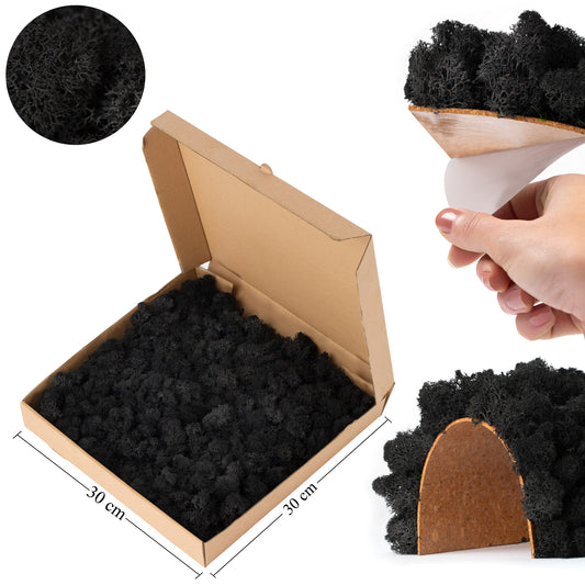 Licheni stabilizati panou 30x30 cm negru. gata lipiti RR22