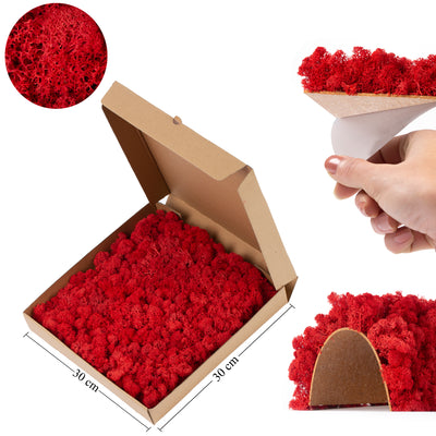 Licheni stabilizati panou 30x30 cm rosu aprins. gata lipiti