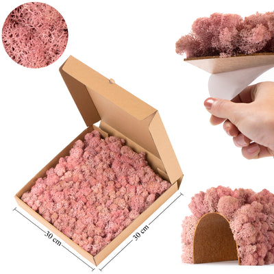 Licheni stabilizati panou 30x30 cm roz. gata lipiti