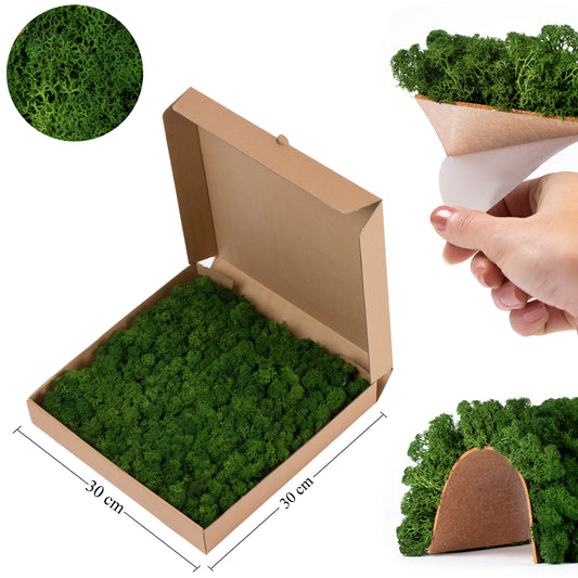 Licheni stabilizati panou 30x30 cm verde inchis. gata lipiti RR1