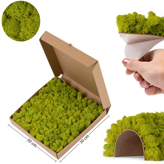 Licheni stabilizati panou 30x30 cm verde primavera. gata lipiti RR5