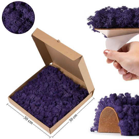 Licheni stabilizati panou 30x30 cm violet. gata lipiti RR17