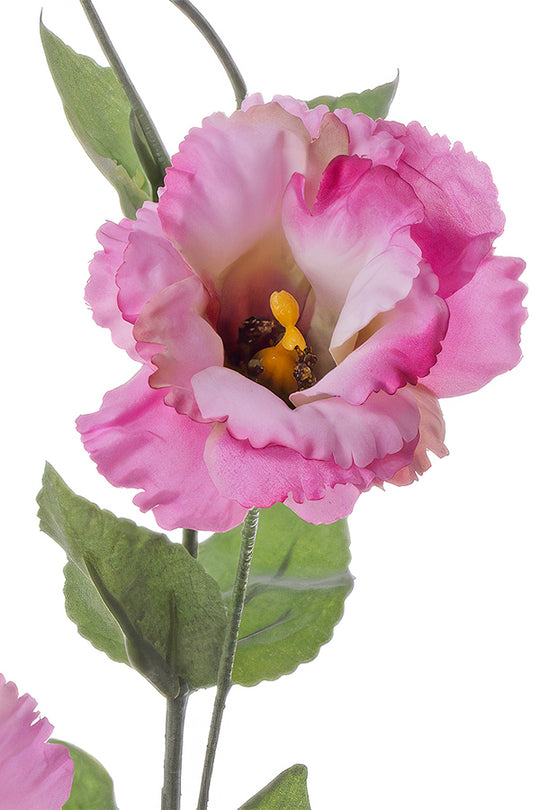 Lisianthus artificial fucsia De Luxe D7x6xH81 cm