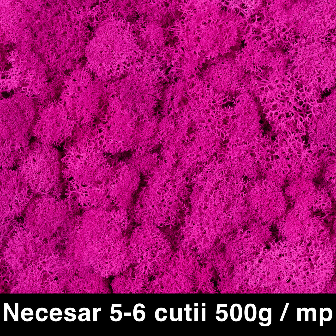 Licheni curatati si fara radacina conservati 500g NET, calitate ULTRA PREMIUM, roz magenta RR32 NEW