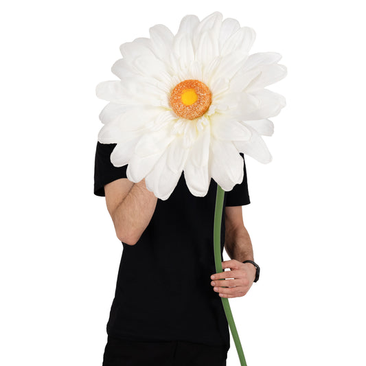 Margareta artificiala D35xH110 cm ivory gigant M fara suport