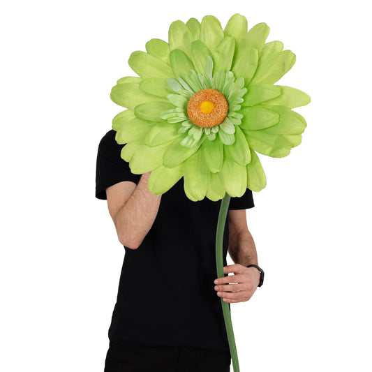 Margareta artificiala D35xH110 cm verde gigant M fara suport