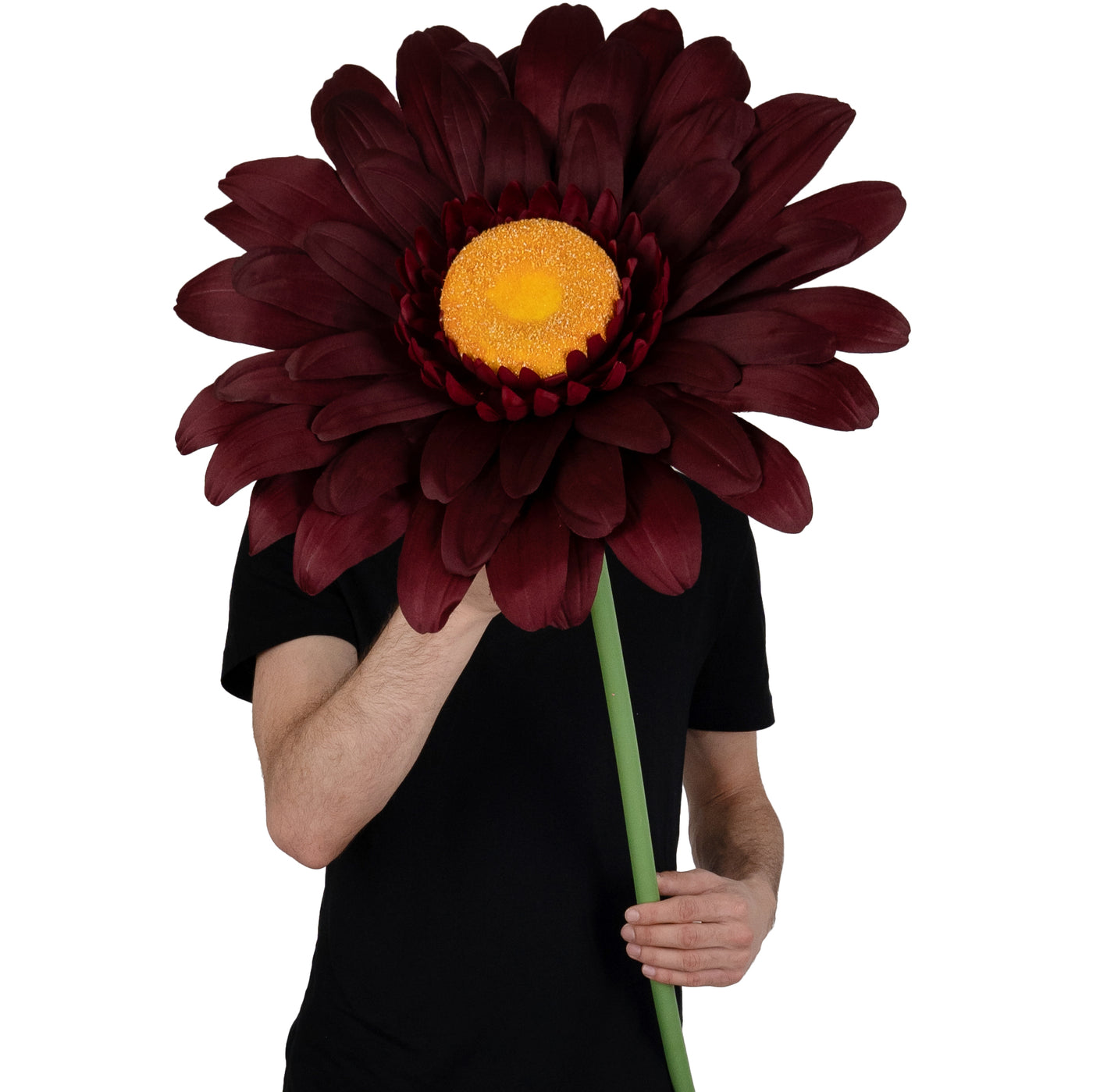 Margareta artificiala D50xH125 cm burgundy gigant L fara suport