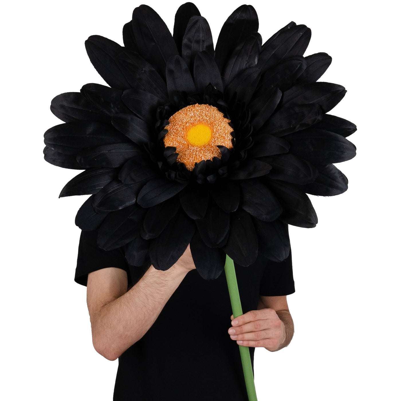 Margareta artificiala D50xH125 cm neagra gigant L fara suport