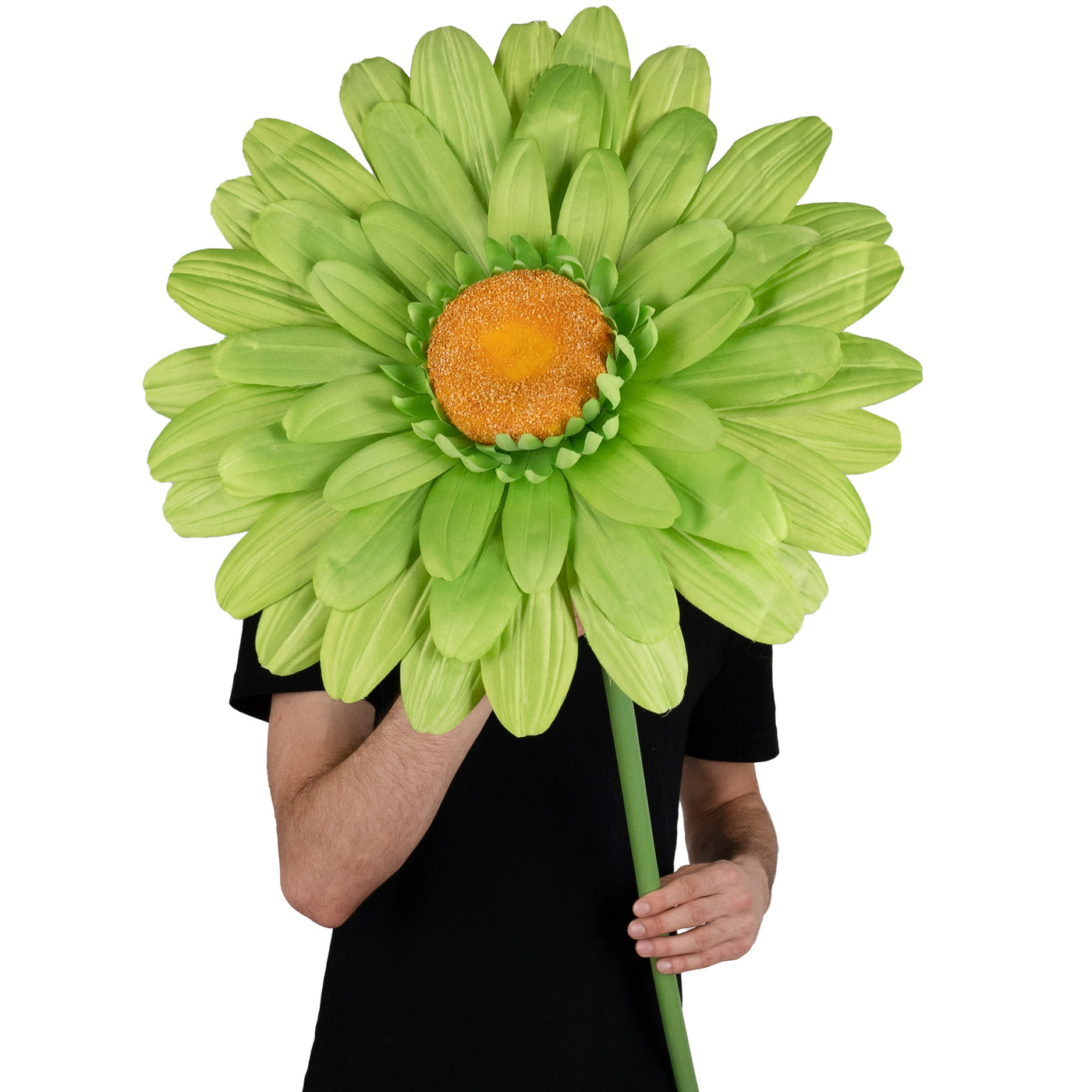 Margareta artificiala D50xH125 cm verde gigant L fara suport