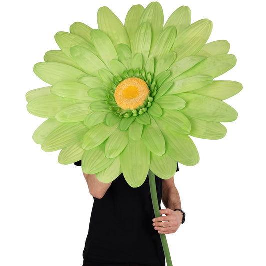 Margareta artificiala D65xH150 cm verde gigant XL fara suport