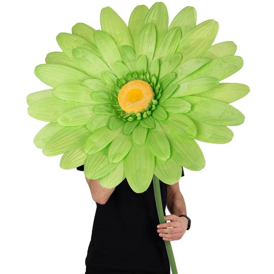 Margareta artificiala D65xH150 cm verde gigant XL fara suport