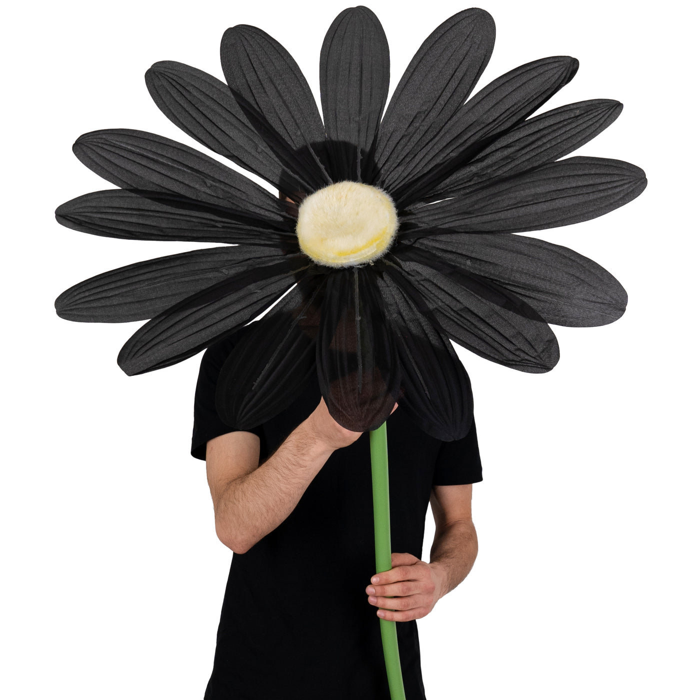 Margareta artificiala D68xH150 cm neagra gigant XXL fara suport