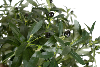 Maslin artificial H130cm cu masline si 2912 frunze