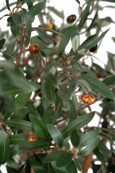 Maslin artificial H150cm cu masline