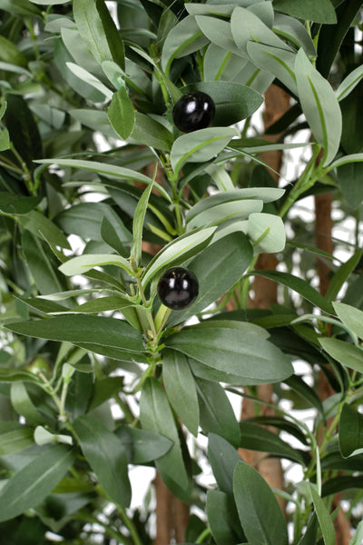 Maslin artificial H180cm cu masline si 4160 frunze