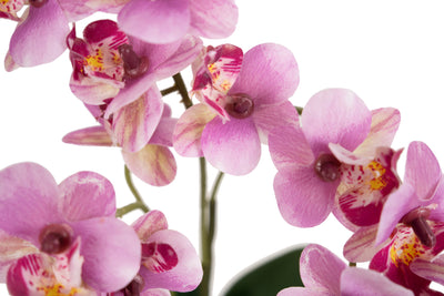 Mini Orhidee artificiala roz cu alb cu aspect natural H30 cm cu 3 tulpini