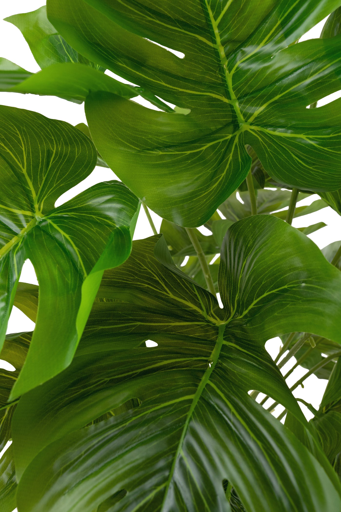 Monstera artificiala 50 cm cu 18 frunze