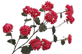 Muscata artificiala cu flori rosii D15x10x5xH121 cm DE