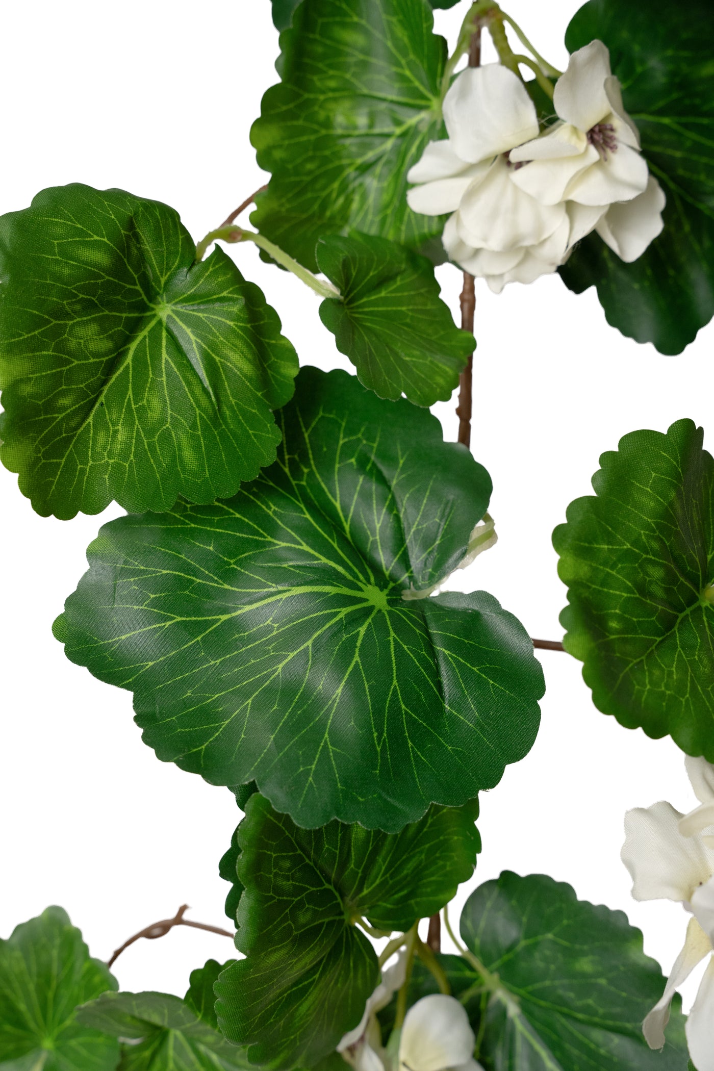 Muscata artificiala curgatoare 170cm cu 130 frunze verde si 33 flori albe