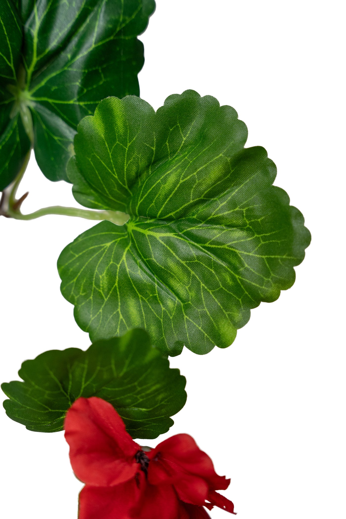 Muscata artificiala curgatoare 170cm cu 130 frunze verde si 33 flori rosii