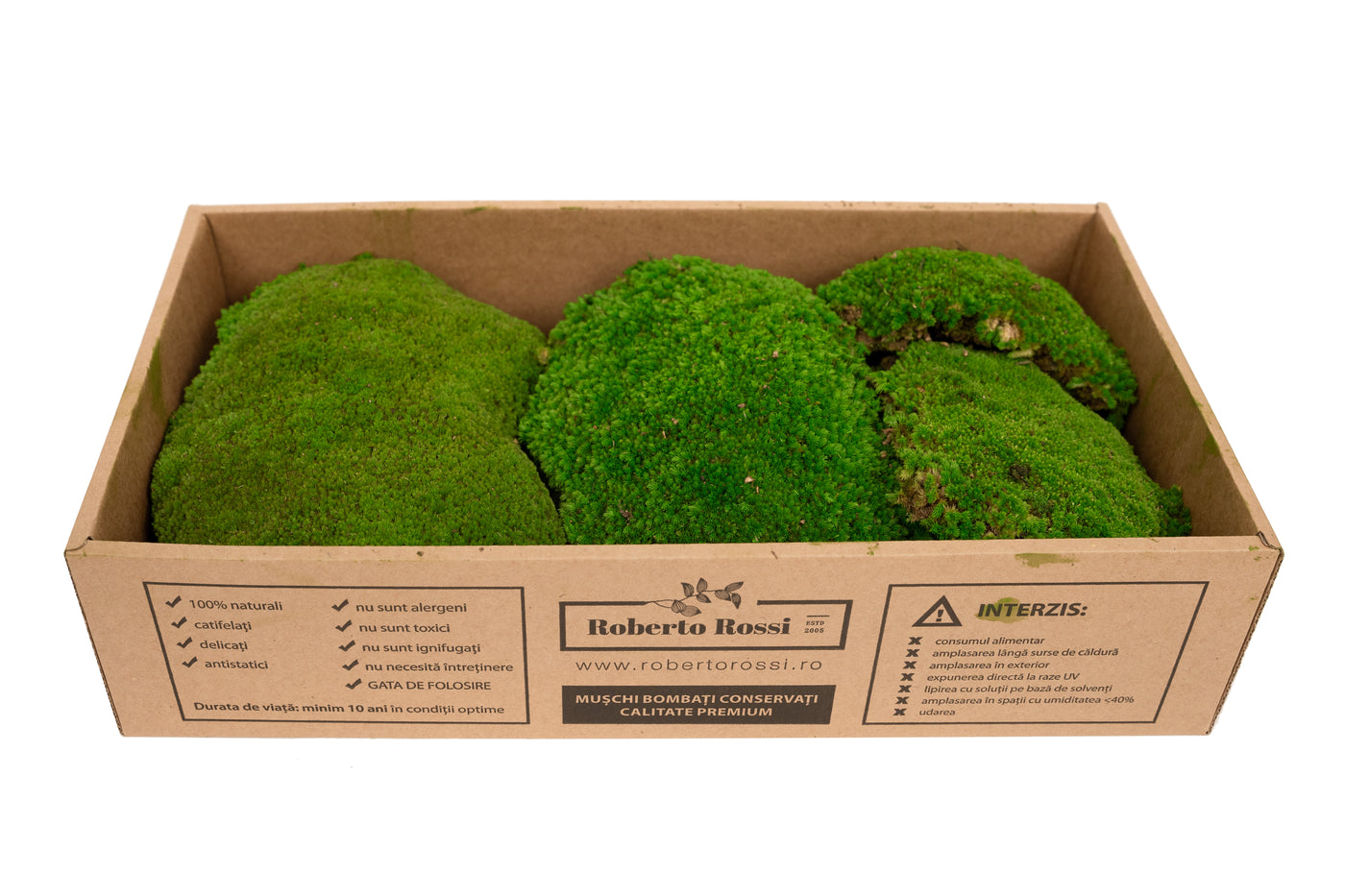 Muschi conservati bombati 185g cu acoperire 0.144mp. verde intens RR3