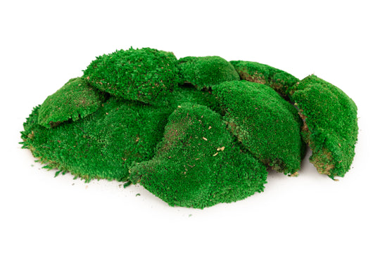 Muschi conservati bombati 185g cu acoperire 0.144mp. verde smarald RR2