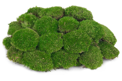 Muschi conservati bombati mini 117g. verde intens RR3