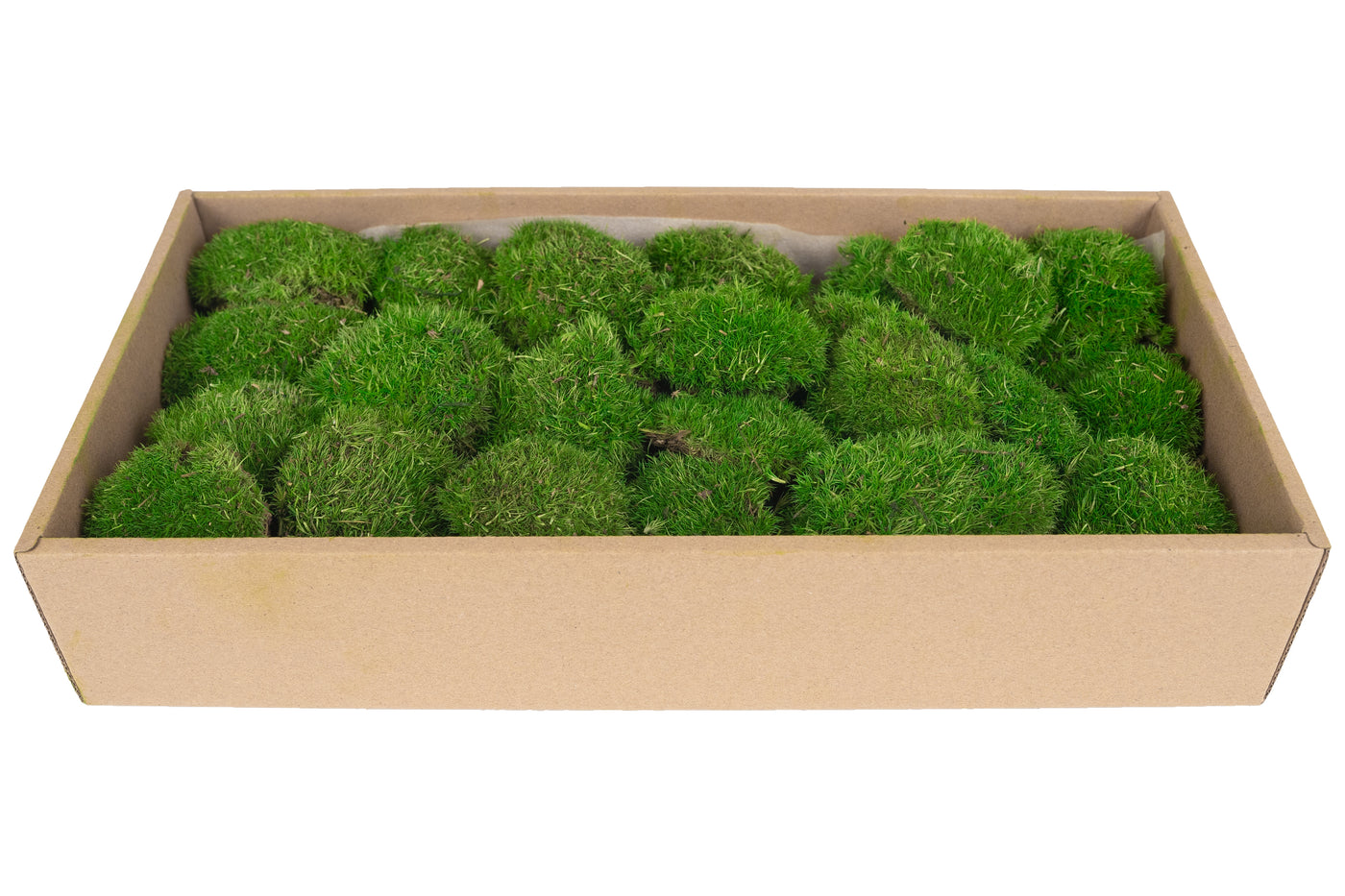 Muschi conservati bombati mini 117g. verde intens RR3