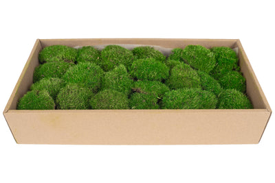 Muschi conservati bombati mini 117g. verde intens RR3