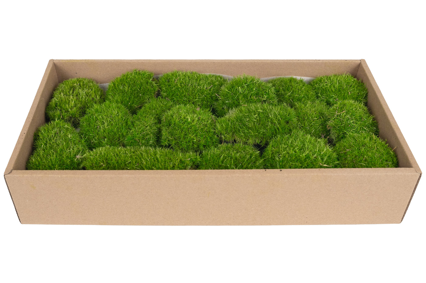 Muschi conservati bombati mini 210g. verde deschis RR4