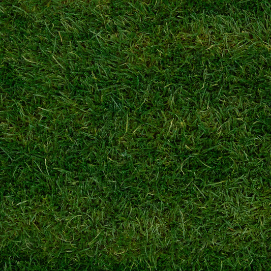 Muschi conservati plati 130g cu acoperire 0.3mp verde inchis RR1