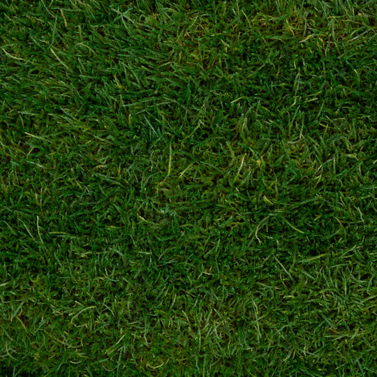 Muschi conservati plati 130g cu acoperire 0.3mp verde inchis RR1
