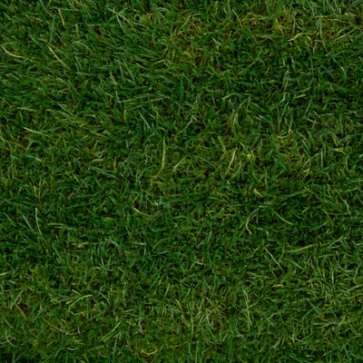 Muschi conservati plati 130g cu acoperire 0.3mp verde inchis RR1