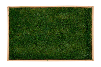 Muschi conservati plati 130g cu acoperire 0.3mp verde inchis RR1