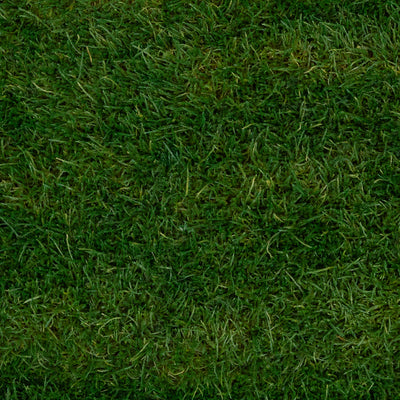 Muschi conservati plati 130g cu acoperire 0.3mp verde inchis RR1