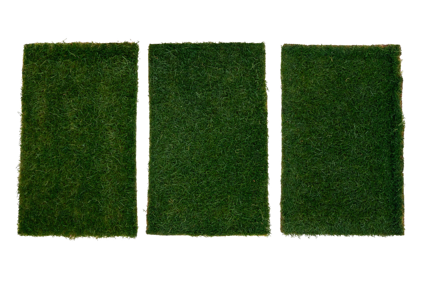 Muschi conservati plati 130g cu acoperire 0.3mp verde inchis RR1