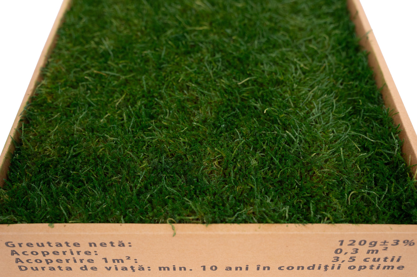 Muschi conservati plati 130g cu acoperire 0.3mp verde inchis RR1