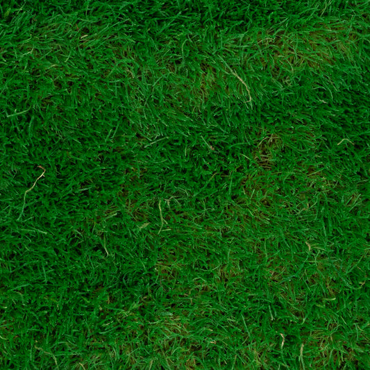 Muschi conservati plati 130g cu acoperire 0.3mp verde smarald RR2