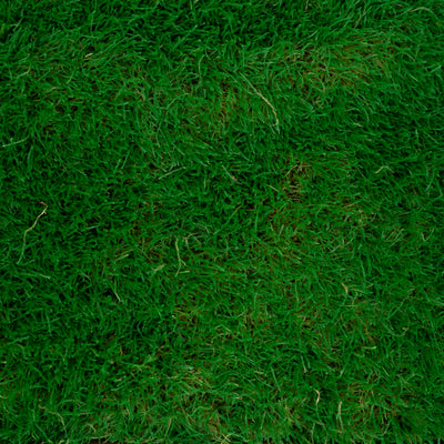 Muschi conservati plati 130g cu acoperire 0.3mp verde smarald RR2