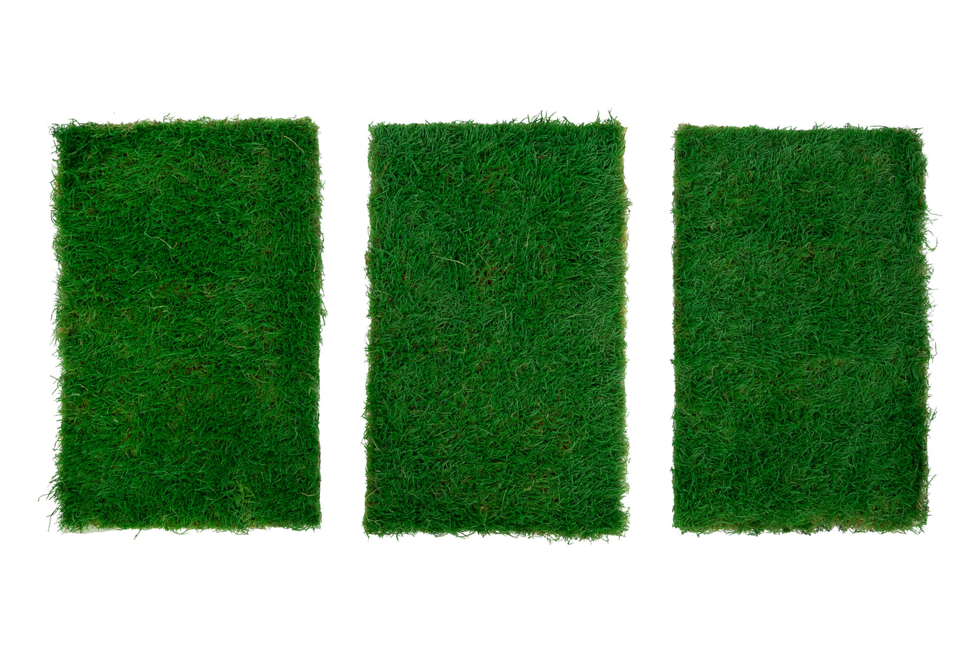 Muschi conservati plati 130g cu acoperire 0.3mp verde smarald RR2